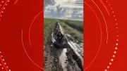 ‘Banana do Agro’ Viraliza: Crianças Brincam com Pneus na Lama de Lavoura em Mato Grosso