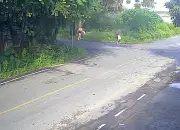 Bebê de 1 mês é abandonado em mata e amamentado por policial em Ibirité