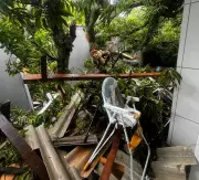 Bebê de 11 meses morre após queda de árvore em casa da AFA em Pirassununga, SP