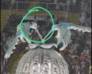 Beija-Flor de Nilópolis pode perder pontos no Carnaval após símbolo danificado