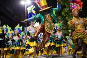 Bloco da Vida e Unidos do Viradouro unem forças em desfile especial em Volta Redonda