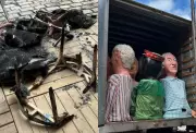 Bonecos do Berbigão do Boca são incendiados em Florianópolis