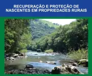 Cartilha gratuita ensina passo a passo para recuperação de nascentes em áreas rurais