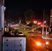Chuva intensa causa transtornos e queda de árvores em Piraí, no RJ