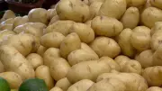 Chuvas Impactam Safra e Elevam Preço da Batata Especial no Sudeste