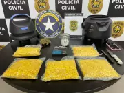 Cão farejador descobre maior apreensão de drogas sintéticas do RN em encomenda