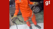 Cobra caninana de 2,5 metros é resgatada de telhado em Lucas do Rio Verde, MT