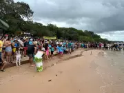 Comunidade no Pará realiza soltura de 5 mil filhotes de tartaruga-da-Amazônia