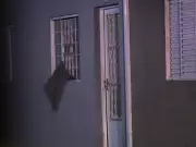 Corpos de mãe e filha são encontrados em casa em Indaiatuba, SP, junto com cachorro morto