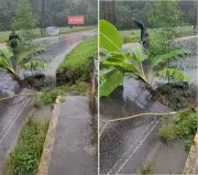 Desmoronamento na RJ-130 em Teresópolis interdita parcialmente rodovia na Região Serrana