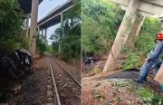 Empreiteiro de 70 anos sobrevive a queda de 30 metros de viaduto em Ituverava, SP