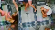 Empresário é denunciado por homicídio após mulher cair do 10º andar em SP