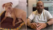 Empresário que 'voou' sobre duna no CE é suspeito de atropelar e matar cadela pitbull