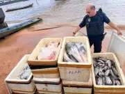 Fiscalização apreende 559 kg de pescado irregular em embarcação no Pará