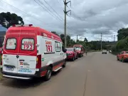 Homem sofre mais de 100 picadas de abelhas em ataque em Caçador, Santa Catarina