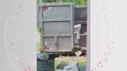 Idosa de 63 anos é assassinada a facadas por companheiro em local de trabalho em Araraquara