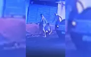 Idoso com esquizofrenia é brutalmente espancado por dois homens em Santa Adélia