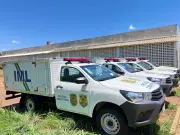 Idoso de 81 anos morre após ataque de abelhas em povoado rural de Araguaína