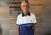 Idoso de 81 anos morre após ataque de enxame de abelhas em chácara no Tocantins