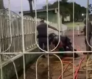 Jovem rendido sofre agressões de PMs com cassetete e chutes em Boa Esperança do Sul