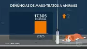 Maus-tratos a animais disparam no Rio de Janeiro, com denúncias em alta de 27%