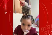 Menina de 2 anos no Acre tem galinha como animal de estimação e cria laço familiar
