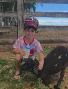 Menino chora ao achar que perderá carneirinha deficiente e se emociona com surpresa