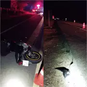 Motociclista morre após atropelar jumento e colidir com caminhonete na BR-110 em Mossoró