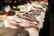 MP-MT exige ação pública contra venda irregular de pescado na Feira do Praeirinho em Cuiabá