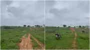 Mulher é resgatada em mata do Ceará após três dias desaparecida ao fugir de agressor violento