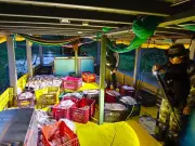 Operação apreende 5 toneladas de mapará ilegal durante defeso no oeste do Pará