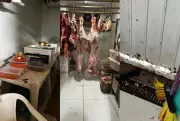 Operação apreende vodka clandestina e 400 kg de carne imprópria em Campo Grande