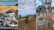 Operação Piracema I apreende redes e peixes no Piauí durante defeso da pesca
