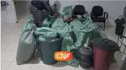 Operação policial apreende 241 kg de maconha e prende dois suspeitos em Caruaru