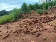 Ossos de Boi e Porco São Encontrados Após Descarte Irregular em Carmo do Cajuru