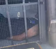 Paciente é preso após ameaçar médica e xingar policiais em hospital de Boa Vista