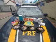 Pai e filho são presos pela PRF com anabolizantes e remédios ilegais na Via Dutra