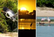 Parque Estadual do Cantão no Tocantins pode se tornar polo de ecoturismo com revisão de plano