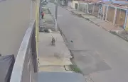 Pitbull ataca e mata cães em Várzea Grande (MT), gerando pânico em bairro residencial