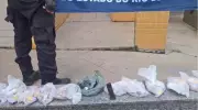 Polícia apreende grande quantidade de drogas em operação em Três Rios, no RJ