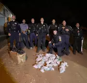 Polícia apreende quase 5 kg de cocaína em Itaperuna, no RJ