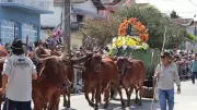 Poço Fundo celebra 39º Encontro de Carreiros com desfile de até 150 carros de boi
