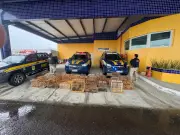 PRF resgata 132 aves silvestres comercializadas ilegalmente na BR 407 em Petrolina