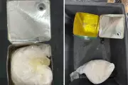 Receita Federal apreende 240 kg de cocaína escondida em óleo de soja no Porto de Santos