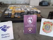 Receita Federal apreende 461 quilos de cocaína no Porto de Santos em carregamento de papel