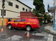 Árvore de grande porte cai sobre caminhão e carro no Centro de Montes Claros