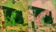 Satélites da Polícia Ambiental flagram degradação em fazenda de Rosana e aplicam multas milionárias