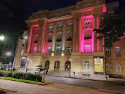 Segunda-feira em BH: Descubra opções culturais, gastronômicas e de lazer para começar a semana