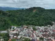 São Sebastião: 3 anos após tragédia, 70% de recuperação, mas invasões e envenenamento ameaçam avanços