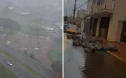 Temporal causa alagamentos e estragos em Ribeirão Preto após chuva de 42 mm